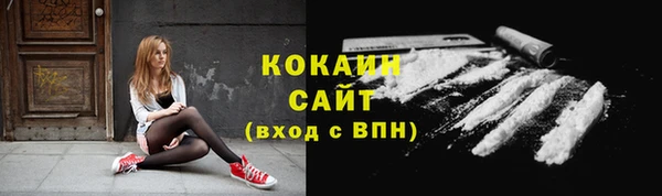 шишки Каменногорск