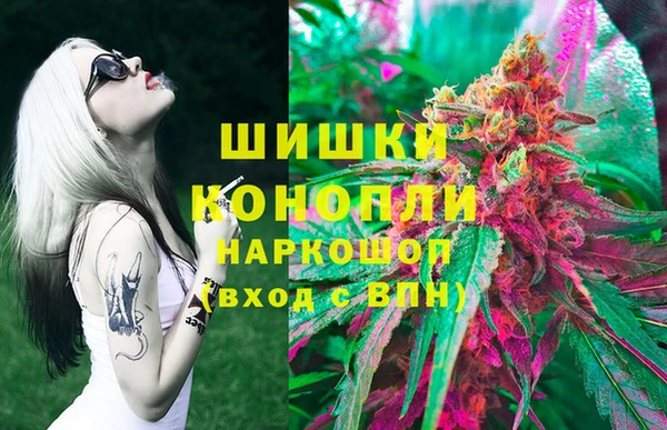 шишки Каменногорск