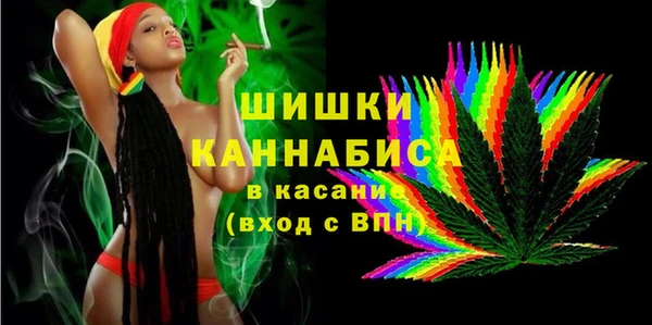 шишки Каменногорск