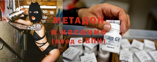 шишки Каменногорск