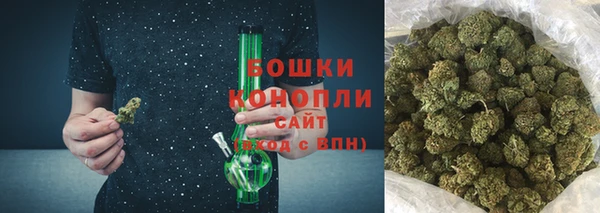 шишки Каменногорск